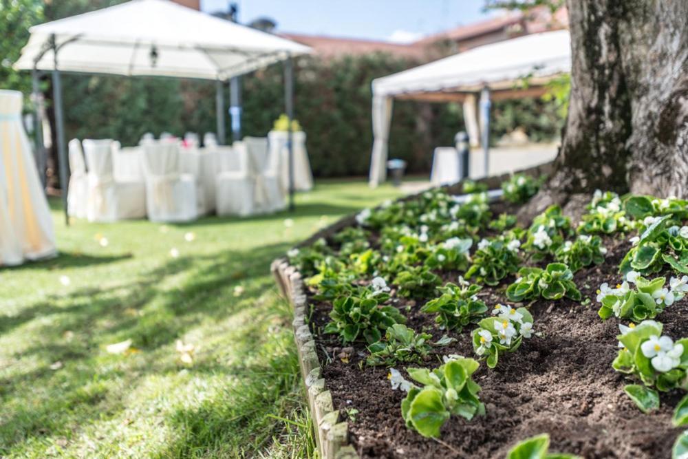 Hotel Il Vigneto Gattinara Kültér fotó